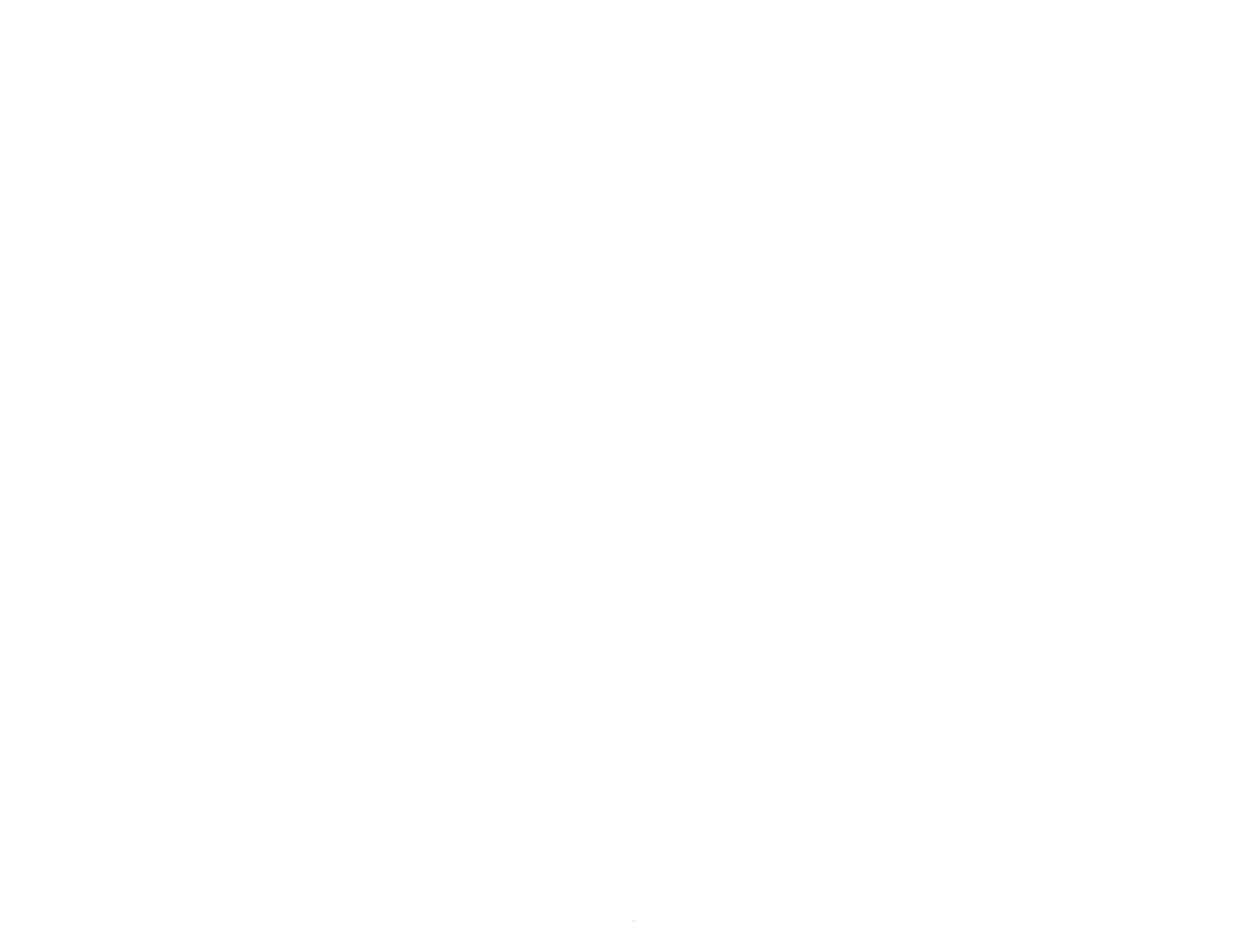 Onzyte Logo